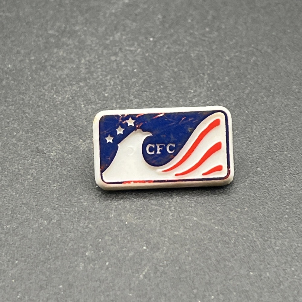 CFC Combined Federal Campaign Plastic Lapel Hat Pin